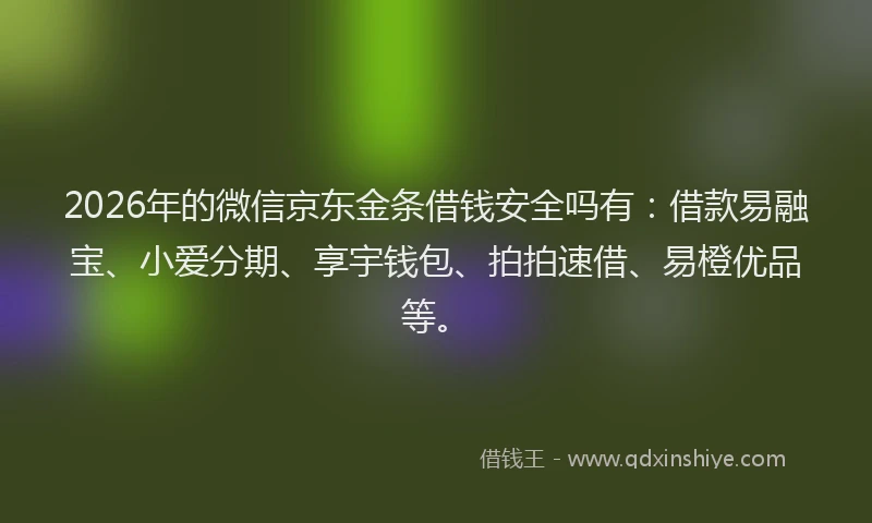2026年的微信京东金条借钱安全吗有：借款易融宝、小爱分期、享宇钱包、拍拍速借、易橙优品等。