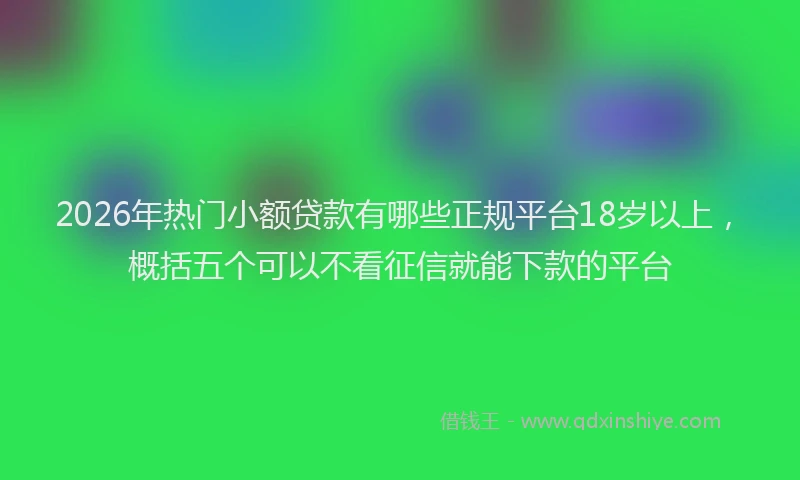 2026年热门小额贷款有哪些正规平台18岁以上，概括五个可以不看征信就能下款的平台