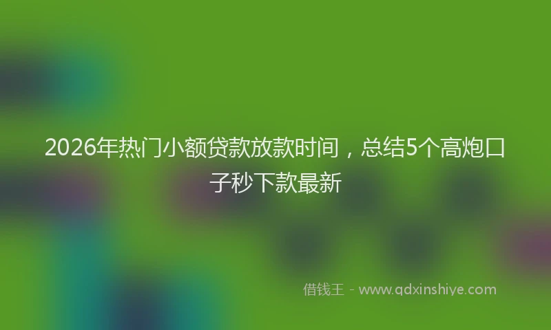 2026年热门小额贷款放款时间，总结5个高炮口子秒下款最新