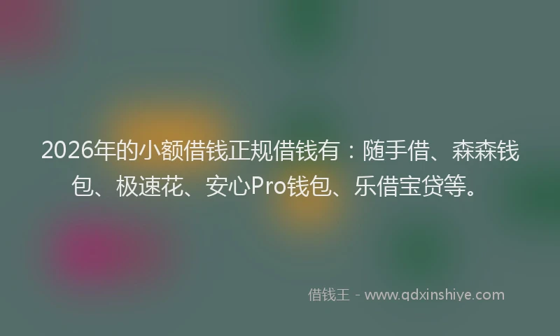 2026年的小额借钱正规借钱有：随手借、森森钱包、极速花、安心Pro钱包、乐借宝贷等。