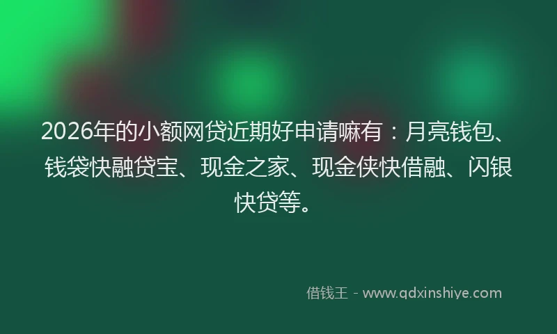 2026年的小额网贷近期好申请嘛有：月亮钱包、钱袋快融贷宝、现金之家、现金侠快借融、闪银快贷等。