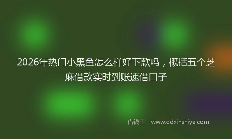 2026年热门小黑鱼怎么样好下款吗，概括五个芝麻借款实时到账速借口子