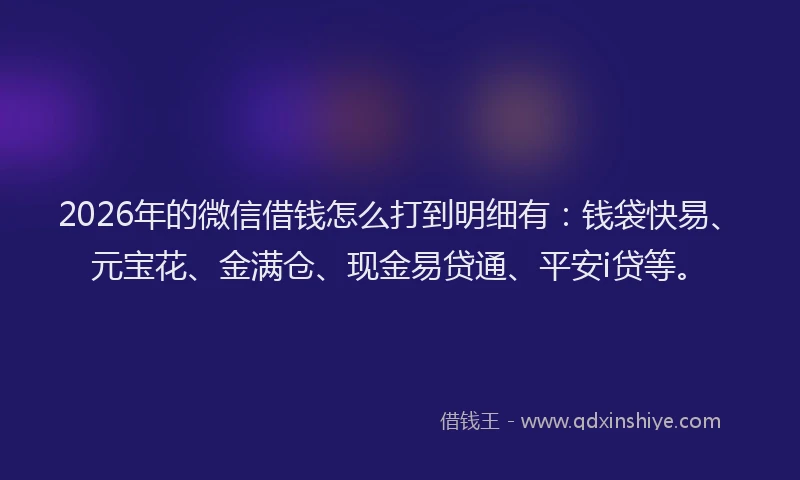 2026年的微信借钱怎么打到明细有：钱袋快易、元宝花、金满仓、现金易贷通、平安i贷等。