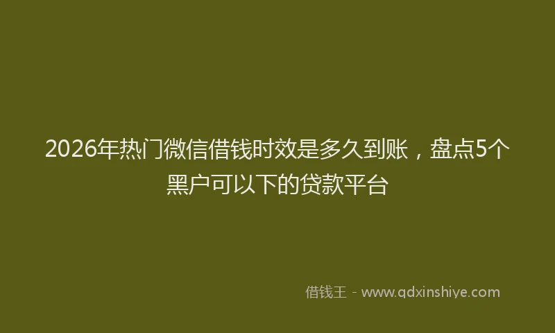 2026年热门微信借钱时效是多久到账，盘点5个黑户可以下的贷款平台