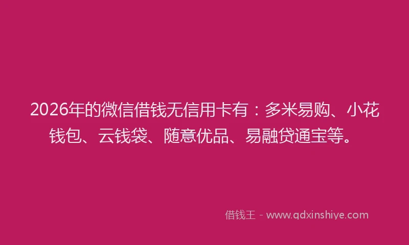 2026年的微信借钱无信用卡有：多米易购、小花钱包、云钱袋、随意优品、易融贷通宝等。