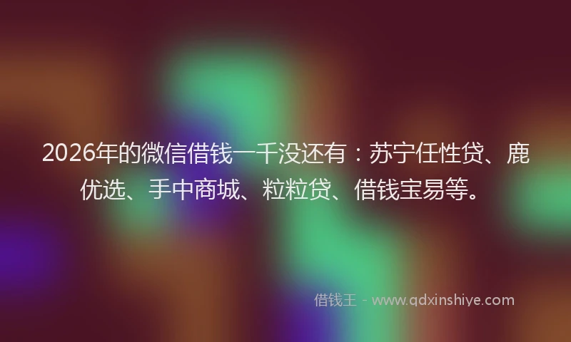 2026年的微信借钱一千没还有：苏宁任性贷、鹿优选、手中商城、粒粒贷、借钱宝易等。