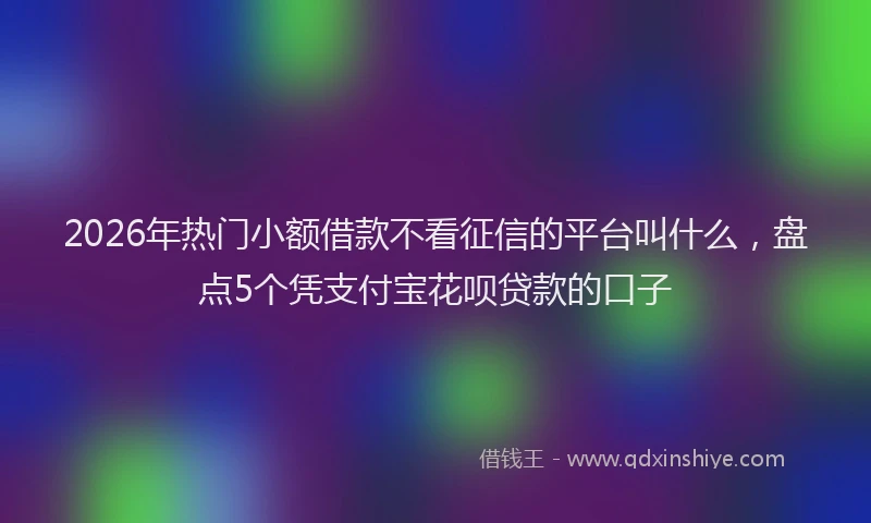2026年热门小额借款不看征信的平台叫什么，盘点5个凭支付宝花呗贷款的口子