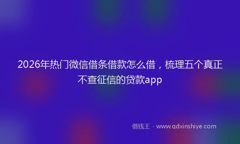 2026年热门微信借条借款怎么借，梳理五个真正不查征信的贷款app