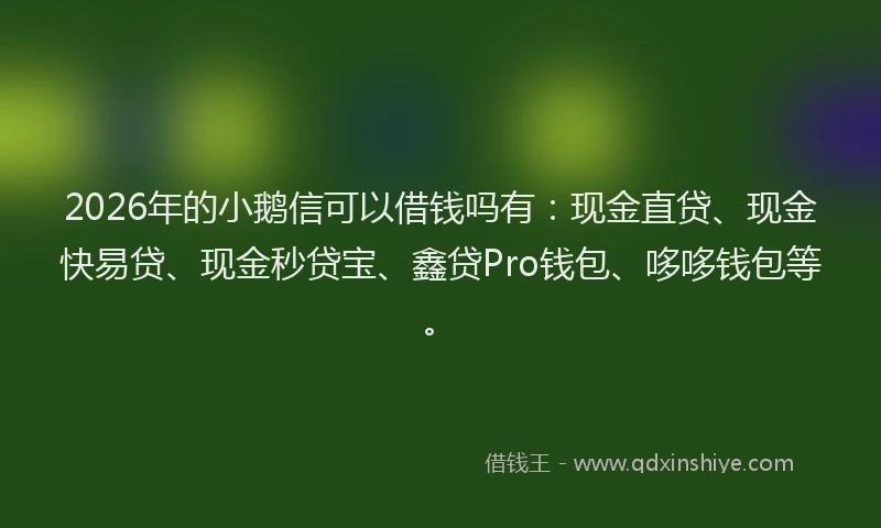 2026年的小鹅信可以借钱吗有：现金直贷、现金快易贷、现金秒贷宝、鑫贷Pro钱包、哆哆钱包等。