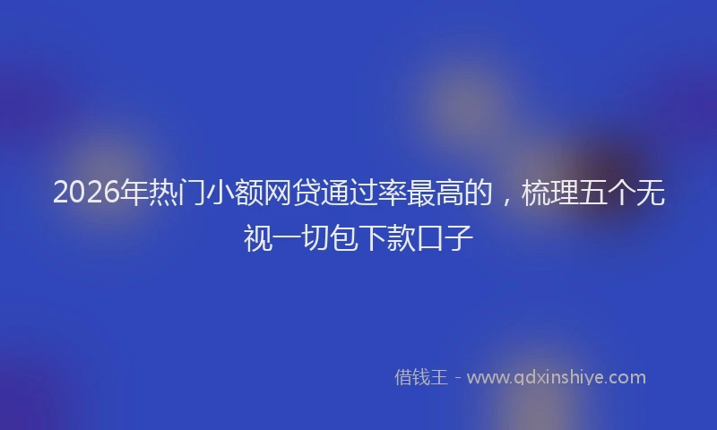 2026年热门小额网贷通过率最高的，梳理五个无视一切包下款口子