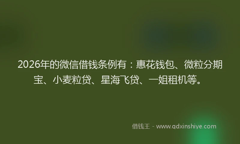 2026年的微信借钱条例有：惠花钱包、微粒分期宝、小麦粒贷、星海飞贷、一姐租机等。