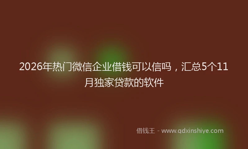 2026年热门微信企业借钱可以信吗，汇总5个11月独家贷款的软件