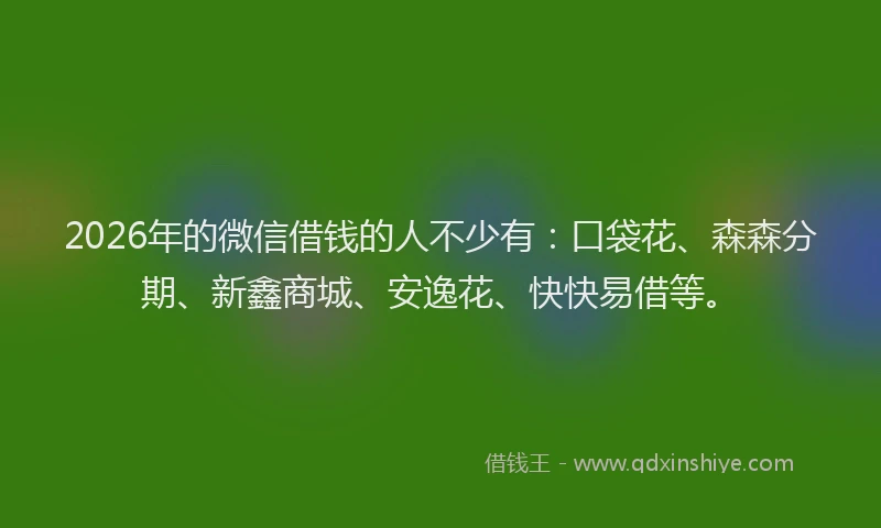 2026年的微信借钱的人不少有：口袋花、森森分期、新鑫商城、安逸花、快快易借等。