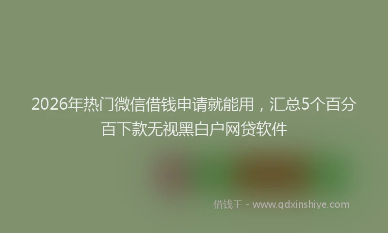 2026年热门微信借钱申请就能用,汇总5个百分百下款无视黑白户网贷软件