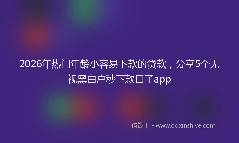 2026年热门年龄小容易下款的贷款，分享5个无视黑白户秒下款口子app