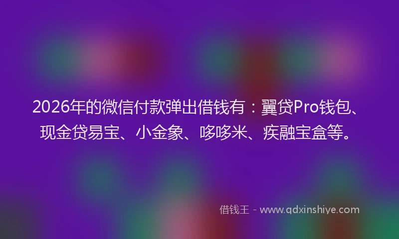 2026年的微信付款弹出借钱有：翼贷Pro钱包、现金贷易宝、小金象、哆哆米、疾融宝盒等。