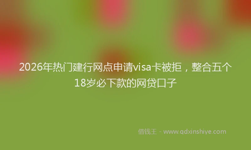 2026年热门建行网点申请visa卡被拒，整合五个18岁必下款的网贷口子
