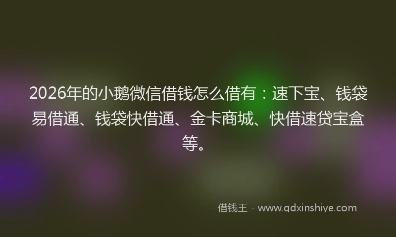 2026年的小鹅微信借钱怎么借有：速下宝、钱袋易借通、钱袋快借通、金卡商城、快借速贷宝盒等。
