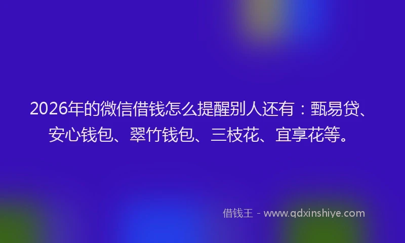 2026年的微信借钱怎么提醒别人还有：甄易贷、安心钱包、翠竹钱包、三枝花、宜享花等。