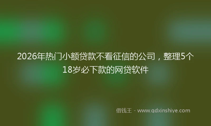2026年热门小额贷款不看征信的公司，整理5个18岁必下款的网贷软件