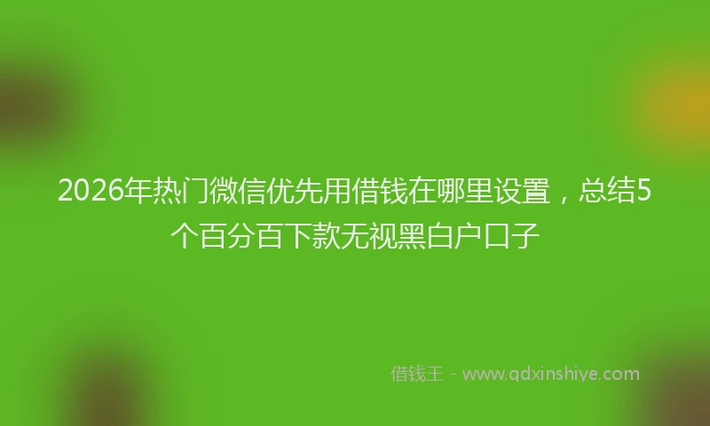2026年热门微信优先用借钱在哪里设置，总结5个百分百下款无视黑白户口子
