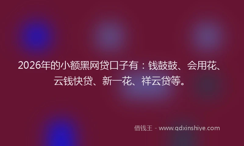 2026年的小额黑网贷口子有：钱鼓鼓、会用花、云钱快贷、新一花、祥云贷等。
