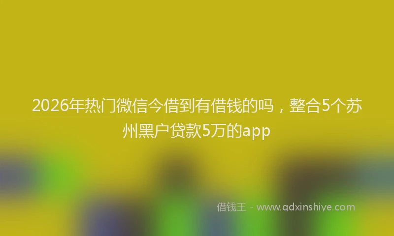 2026年热门微信今借到有借钱的吗，整合5个苏州黑户贷款5万的app