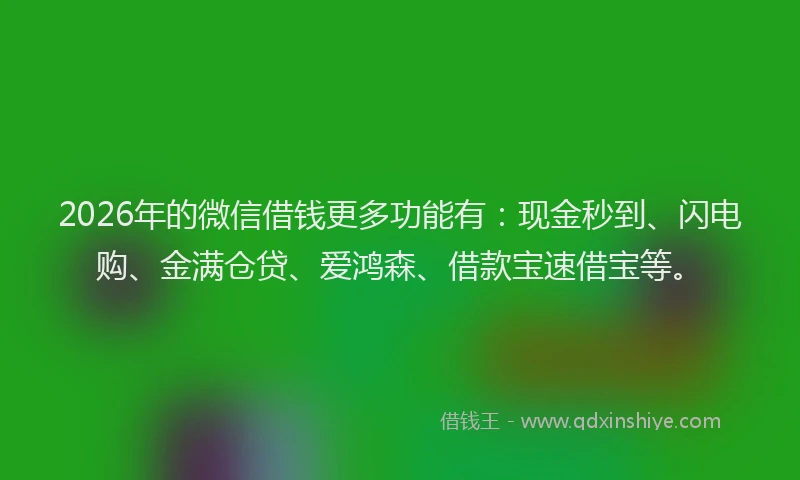 2026年的微信借钱更多功能有：现金秒到、闪电购、金满仓贷、爱鸿森、借款宝速借宝等。