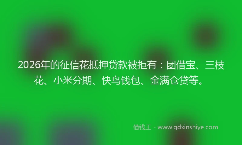 2026年的征信花抵押贷款被拒有：团借宝、三枝花、小米分期、快鸟钱包、金满仓贷等。
