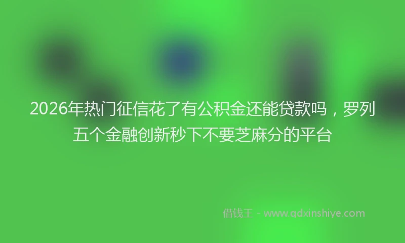 2026年热门征信花了有公积金还能贷款吗，罗列五个金融创新秒下不要芝麻分的平台
