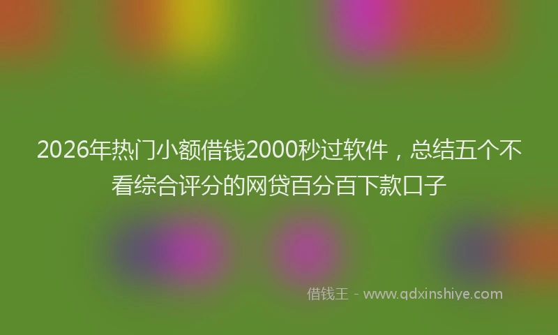 2026年热门小额借钱2000秒过软件，总结五个不看综合评分的网贷百分百下款口子