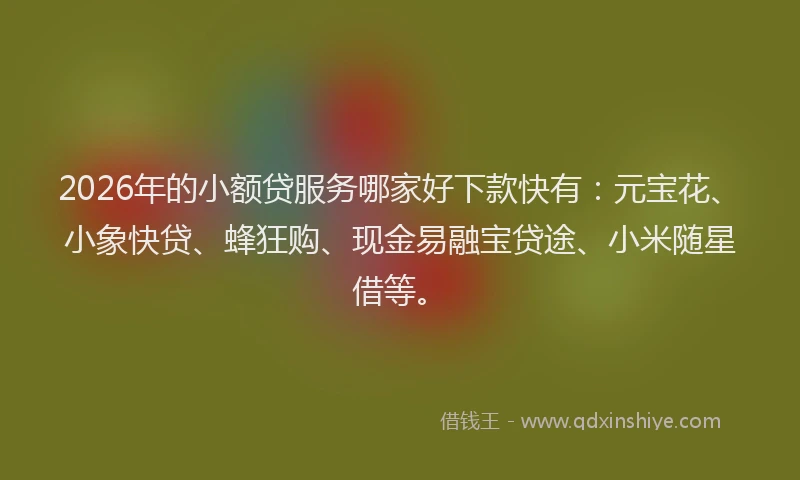 2026年的小额贷服务哪家好下款快有：元宝花、小象快贷、蜂狂购、现金易融宝贷途、小米随星借等。