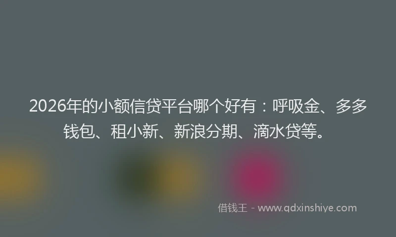 2026年的小额信贷平台哪个好有：呼吸金、多多钱包、租小新、新浪分期、滴水贷等。