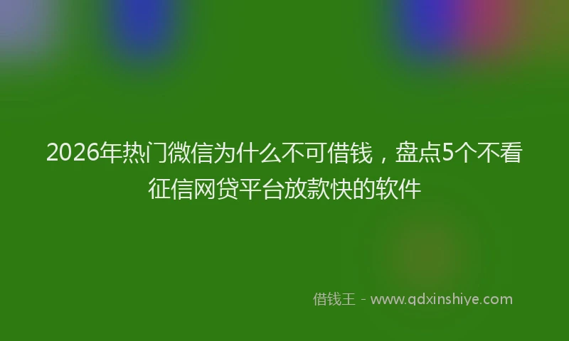 2026年热门微信为什么不可借钱，盘点5个不看征信网贷平台放款快的软件