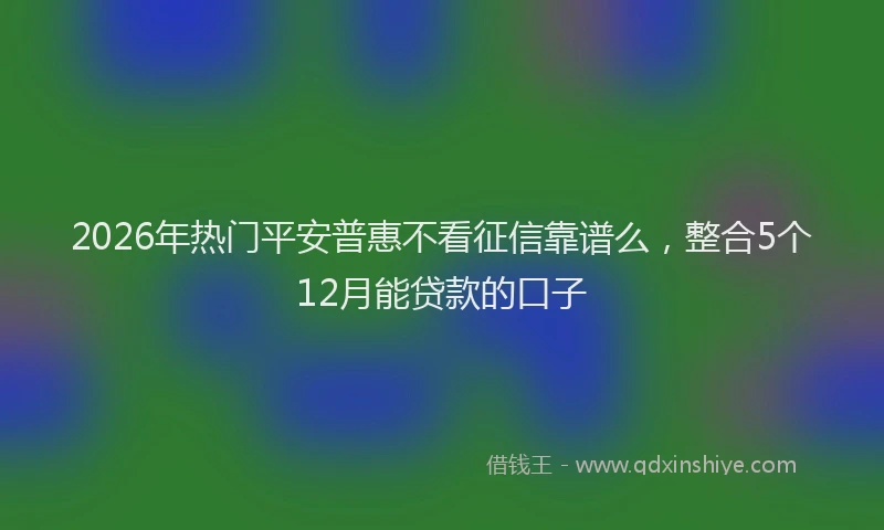 2026年热门平安普惠不看征信靠谱么，整合5个12月能贷款的口子
