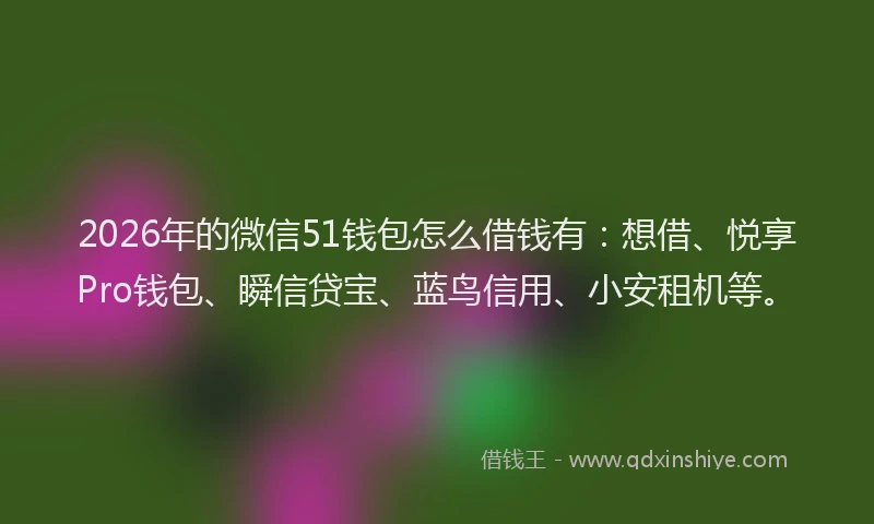 2026年的微信51钱包怎么借钱有:想借、悦享Pro钱包、瞬信贷宝、蓝鸟信用、小安租机等。