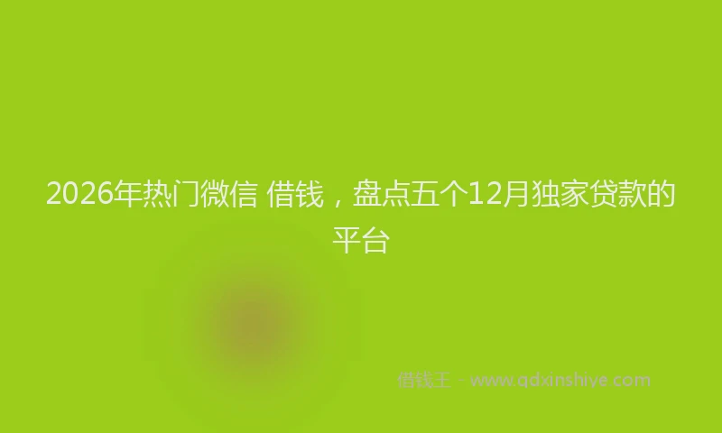 2026年热门微信 借钱，盘点五个12月独家贷款的平台