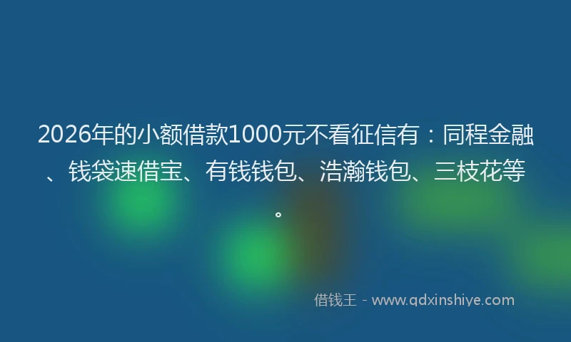 2026年的小额借款1000元不看征信有：同程金融、钱袋速借宝、有钱钱包、浩瀚钱包、三枝花等。