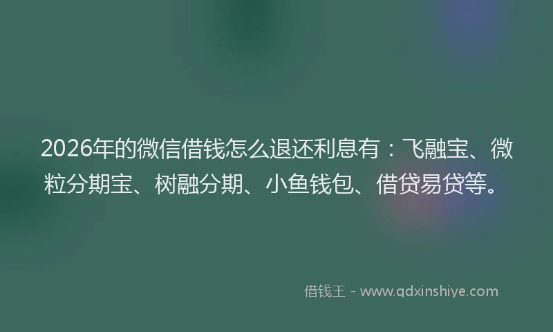 2026年的微信借钱怎么退还利息有:飞融宝、微粒分期宝、树融分期、小鱼钱包、借贷易贷等。