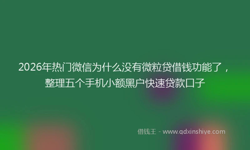 2026年热门微信为什么没有微粒贷借钱功能了，整理五个手机小额黑户快速贷款口子