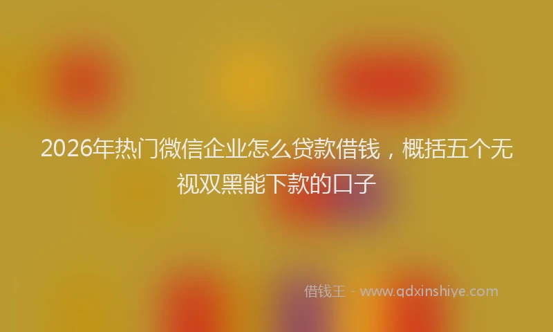 2026年热门微信企业怎么贷款借钱，概括五个无视双黑能下款的口子