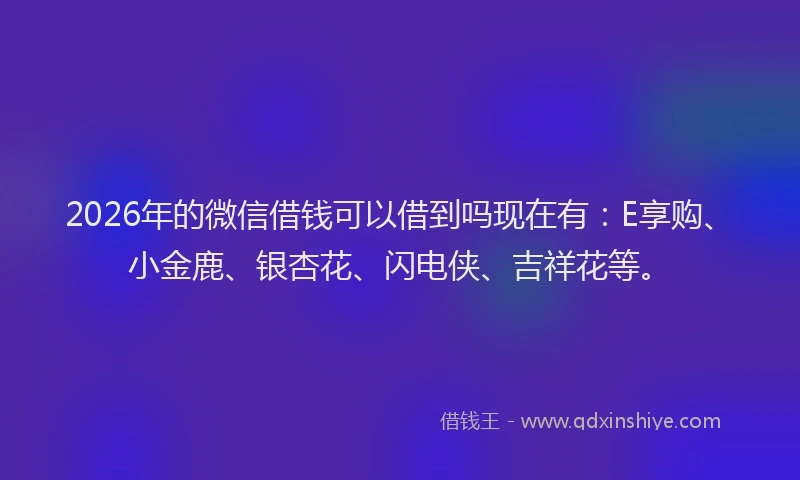 2026年的微信借钱可以借到吗现在有：E享购、小金鹿、银杏花、闪电侠、吉祥花等。