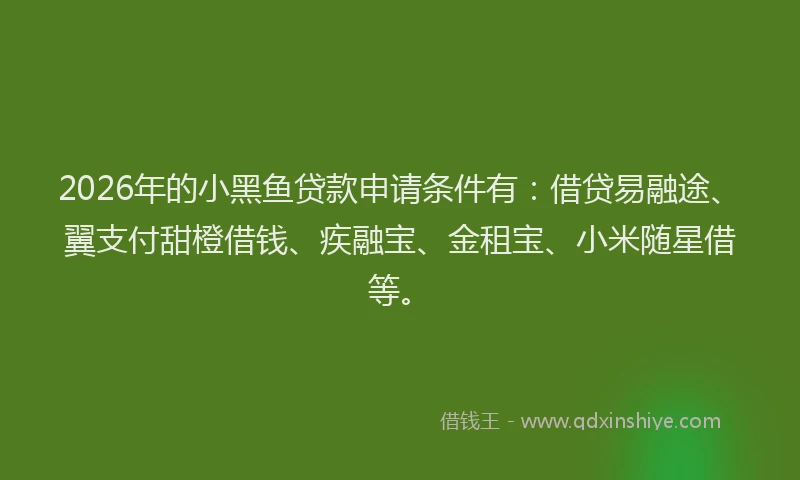 2026年的小黑鱼贷款申请条件有：借贷易融途、翼支付甜橙借钱、疾融宝、金租宝、小米随星借等。