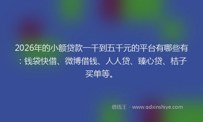 2026年的小额贷款一千到五千元的平台有哪些有：钱袋快借、微博借钱、人人贷、臻心贷、桔子买单等。