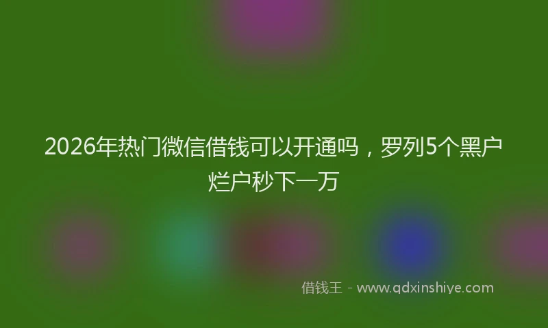 2026年热门微信借钱可以开通吗,罗列5个黑户烂户秒下一万