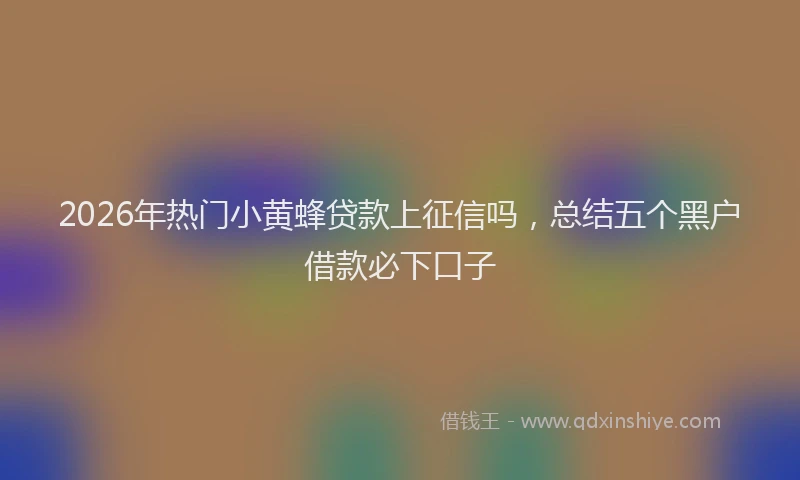2026年热门小黄蜂贷款上征信吗，总结五个黑户借款必下口子