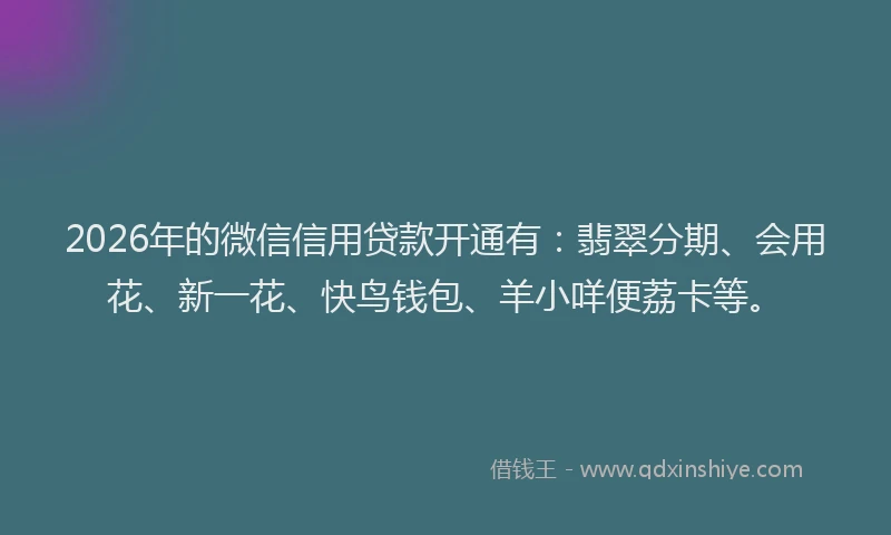 2026年的微信信用贷款开通有：翡翠分期、会用花、新一花、快鸟钱包、羊小咩便荔卡等。