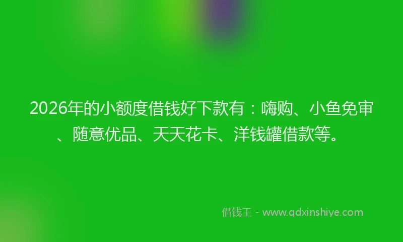 2026年的小额度借钱好下款有：嗨购、小鱼免审、随意优品、天天花卡、洋钱罐借款等。