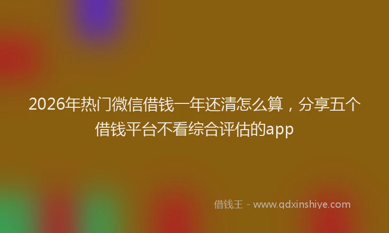 2026年热门微信借钱一年还清怎么算，分享五个借钱平台不看综合评估的app