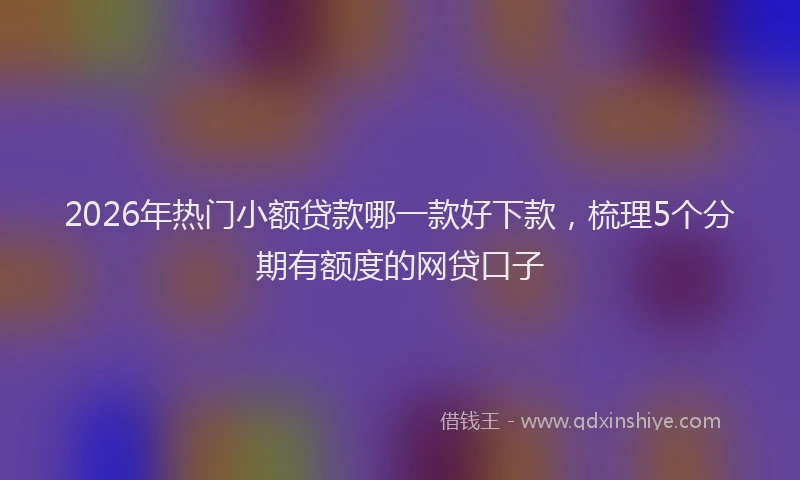 2026年热门小额贷款哪一款好下款，梳理5个分期有额度的网贷口子